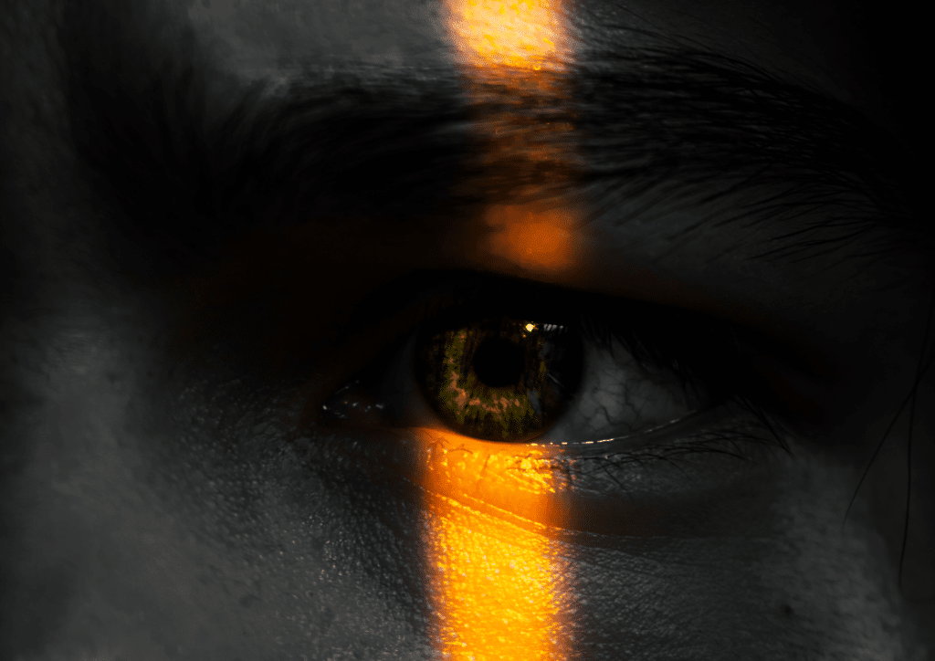 Untitled design (3)